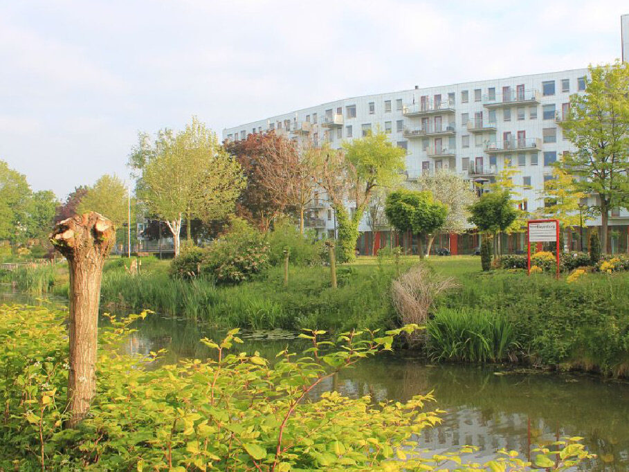 Zicht op de de tuin vanaf het pad aan de overkant van het Breede Water.