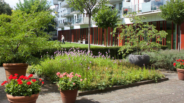 Het bloemenperkje op een van de terrassen. Iets verder naar links, net niet zichtbaar, is er een kruidentuintje, met salie, munt en andere kruiden waarmee je maaltijd op smaak kunt brengen.